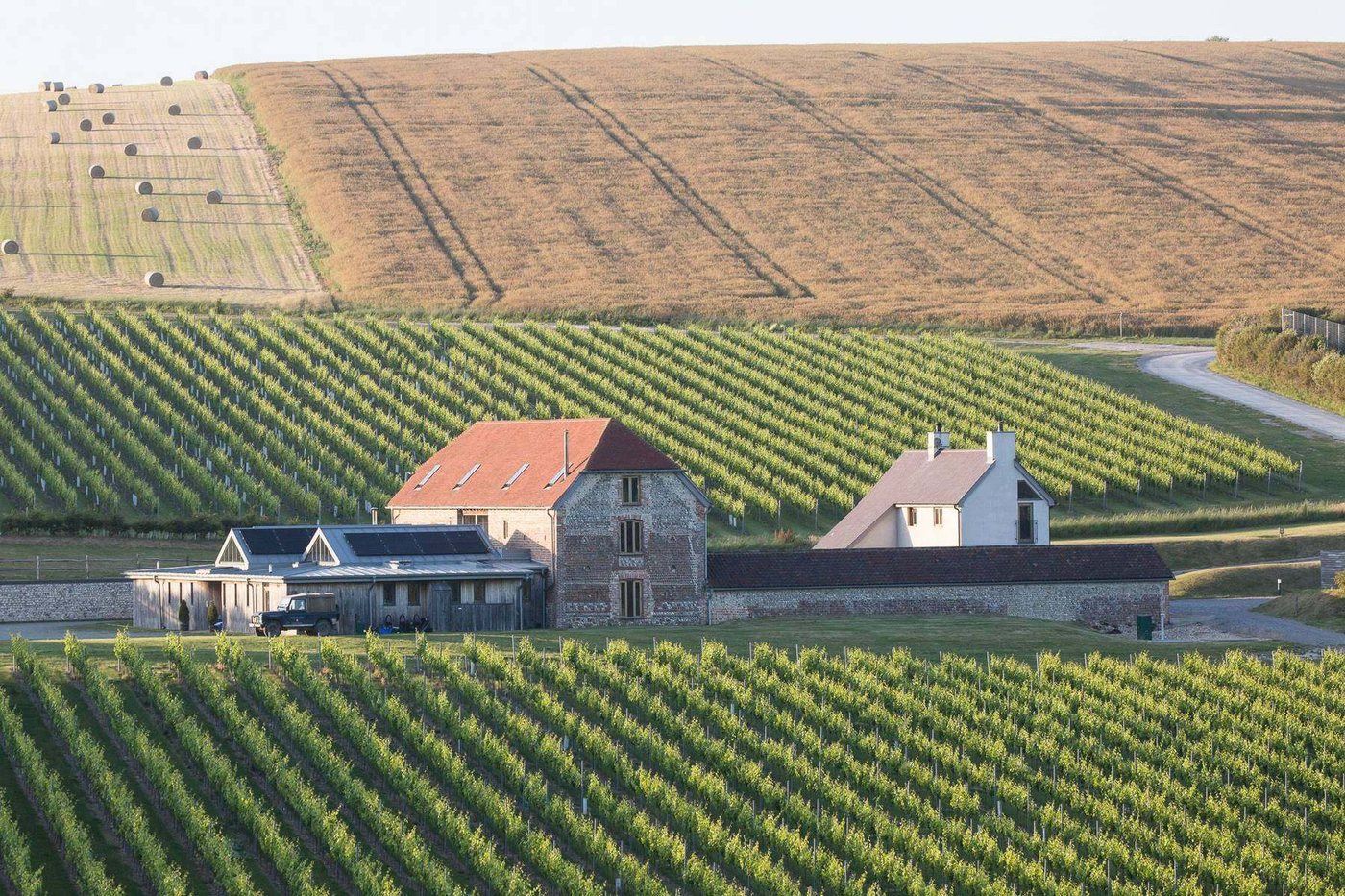 Flint estate buildings set among the vines at Rathfinny