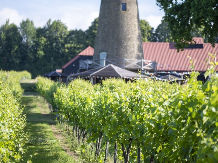 Photograph supplied by Nutbourne Vineyard