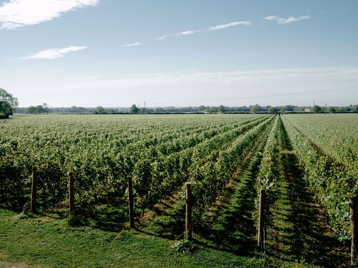Photograph supplied by Tinwood Estate